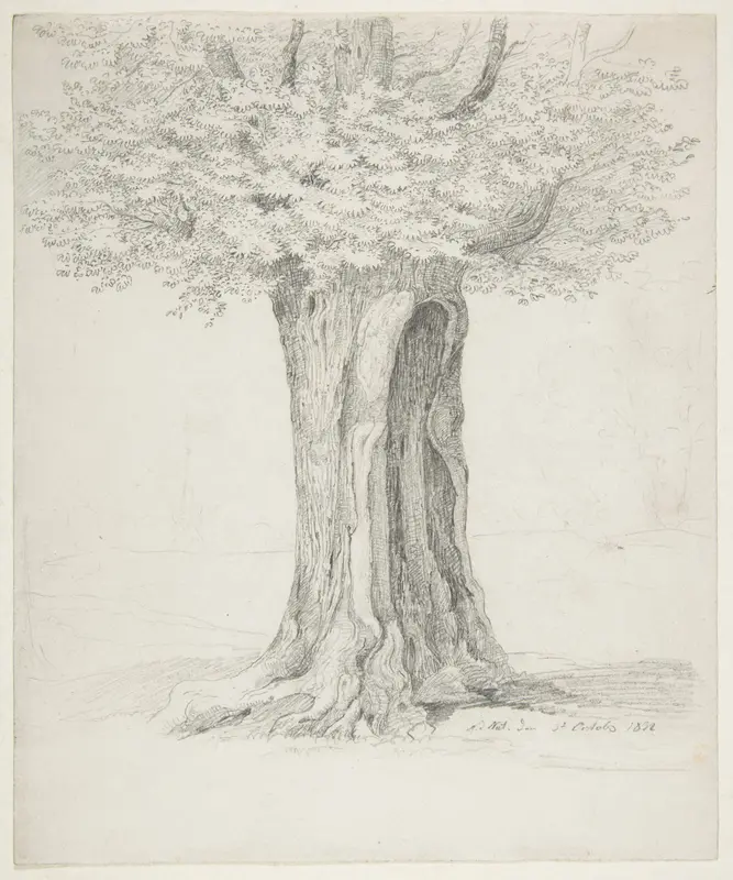 Study of a Tree; verso: Study of Houses Wall Art by Ernst Ferdinand Oehme - High-Resolution Digital Print