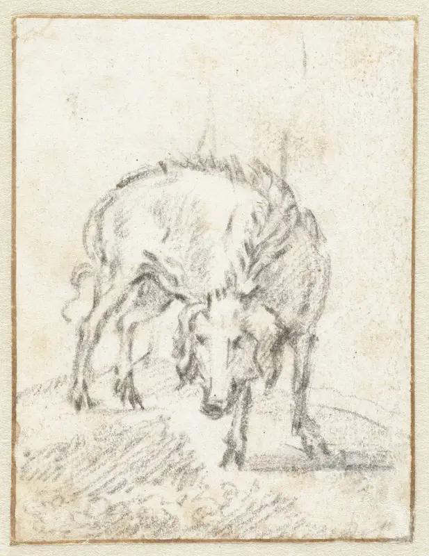 Study of a Young Pig Wall Art by Paulus Potter - High-Resolution Digital Print