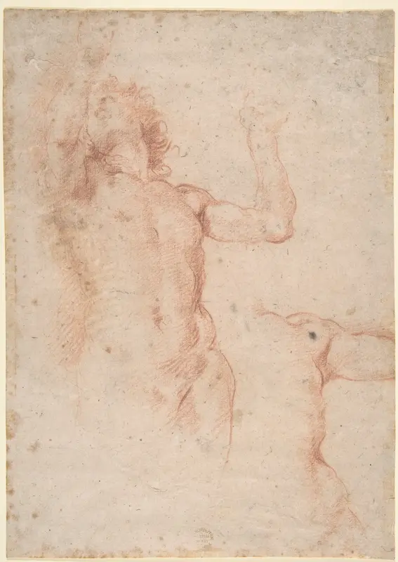 Study of Nude Figure in Front View Looking Upward; Study of Torso and Left Arm Wall Art by Anonymous, Italian, Roman-Bolognese, 17th century - High-Resolution Digital Print