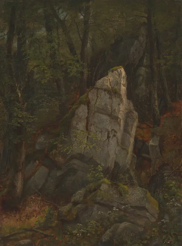 Study of Rocks in Pearson's Ravine