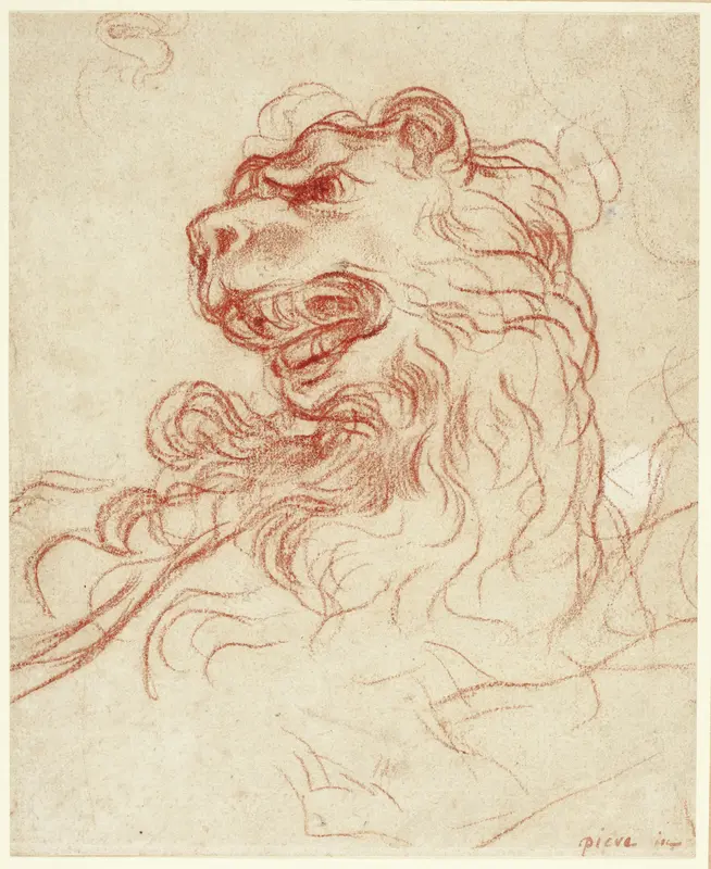 Study of the Head of a Lion Wall Art by Baldassare Franceschini - High-Resolution Digital Print