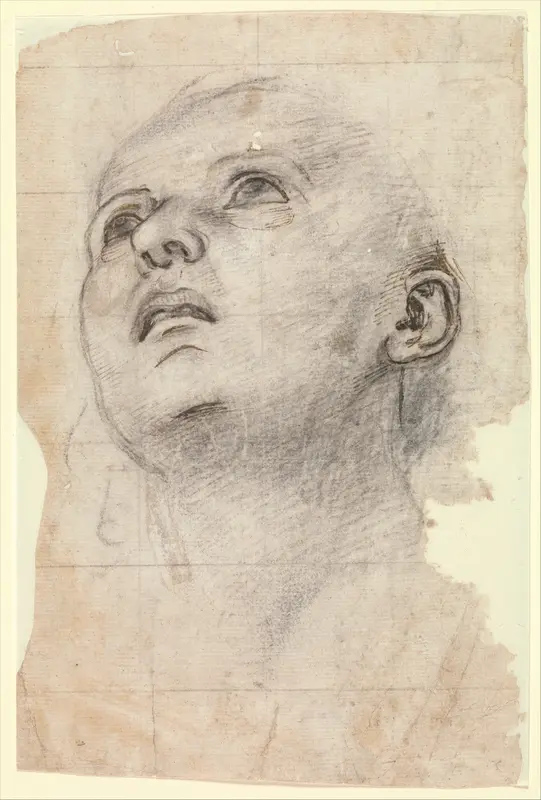 Study of the Head of a Youth Gazing Upward Wall Art by Perugino (Pietro di Cristoforo Vannucci) - High-Resolution Digital Print