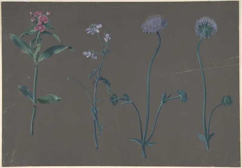 Study of Three Flowers Wall Art by Johann Christian August Birnbaum - High-Resolution Digital Print