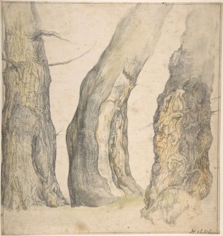 Study of Three Old Gnarled Trees Wall Art by Jan Siberechts - High-Resolution Digital Print