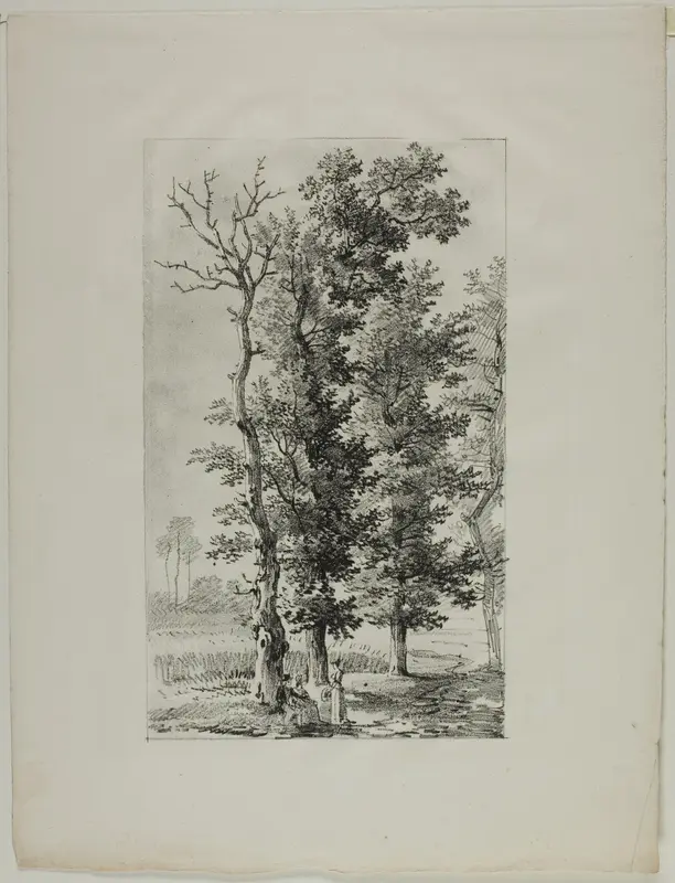 Study of Trees Wall Art by Louis Pierre Baltard - High-Resolution Digital Print