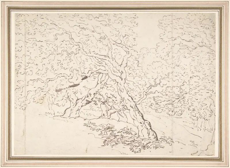 Study of trees Wall Art by Thomas Rowlandson - High-Resolution Digital Print