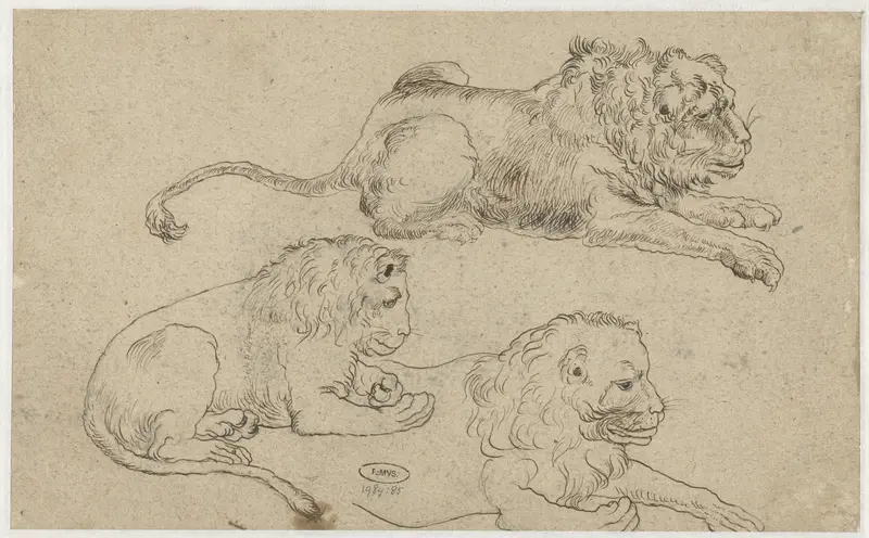 Study Sheet with Three Lions Wall Art by anonymous - High-Resolution Digital Print