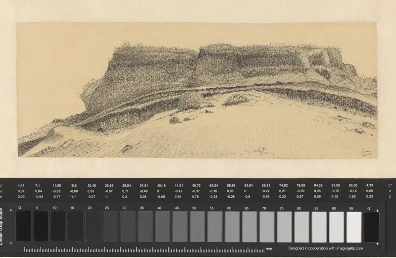 Stuifzand op de heide Wall Art by Eugenius Mehler - High-Resolution Digital Print