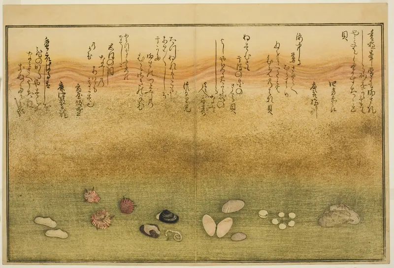Sudare-gai, hana-gai, sakura-gai, mumeno-gai, nadeshiko-gai, and kinuta-gai, from the illustrated book "Gifts from the Ebb Tide (Shiohi no tsuto)"