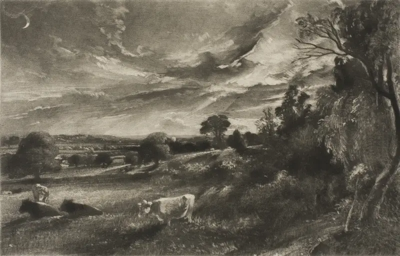 Summer Evening