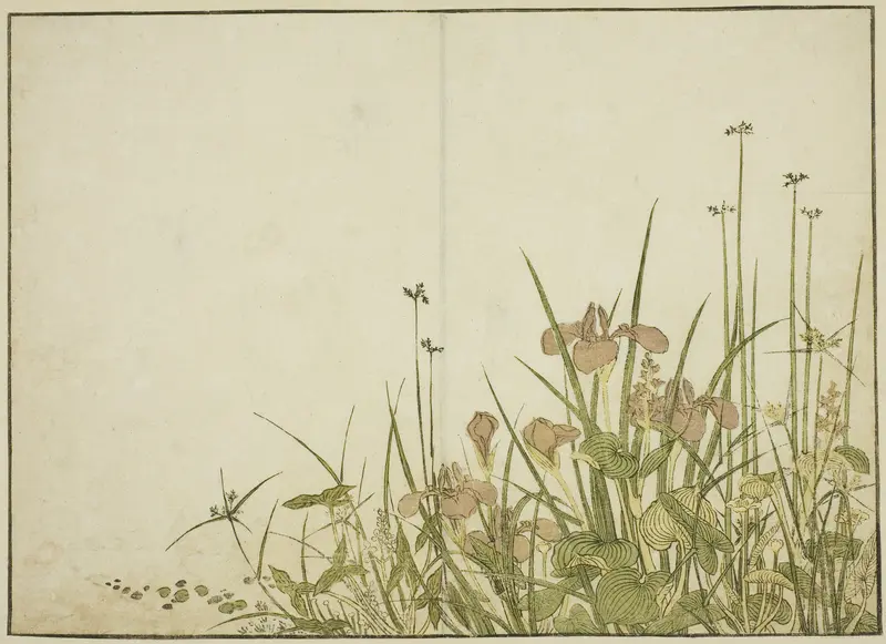 Summer Flowers: Irises and Water Plantains, from the book "Mirror of Beautiful Women of the Pleasure Quarters (Seiro bijin awase sugata kagami)," vol. 1 Wall Art by Katsukawa Shunsho - High-Resolution Digital Print