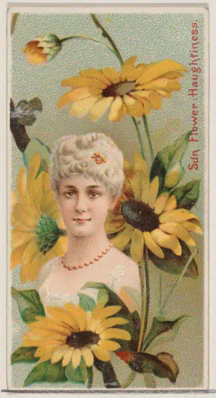 Sunflower: Haughtiness, from the series Floral Beauties and Language of Flowers (N75) for Duke brand cigarettes Wall Art by American Tobacco Company - High-Resolution Digital Print