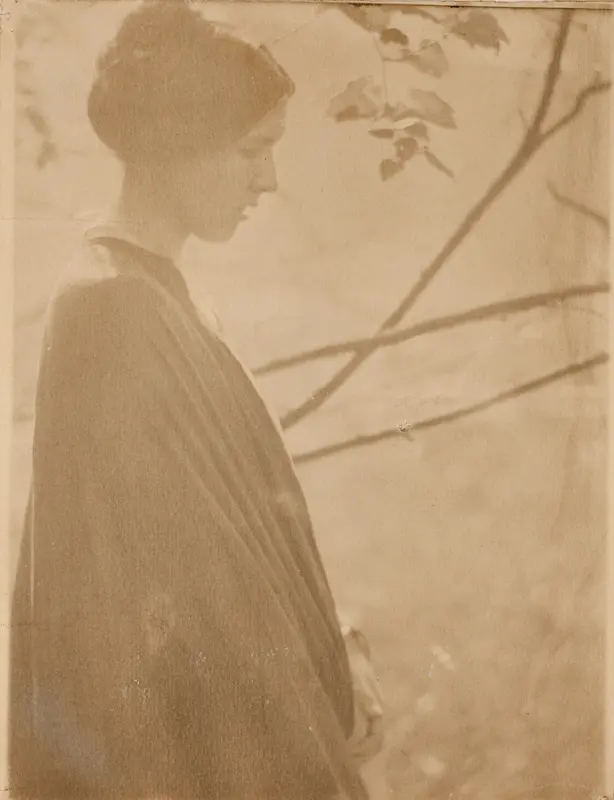 Sunlight Wall Art by Clarence H. White - High-Resolution Digital Print