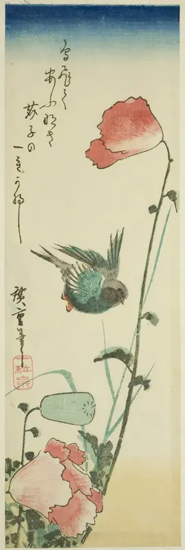 Swallow and poppies
