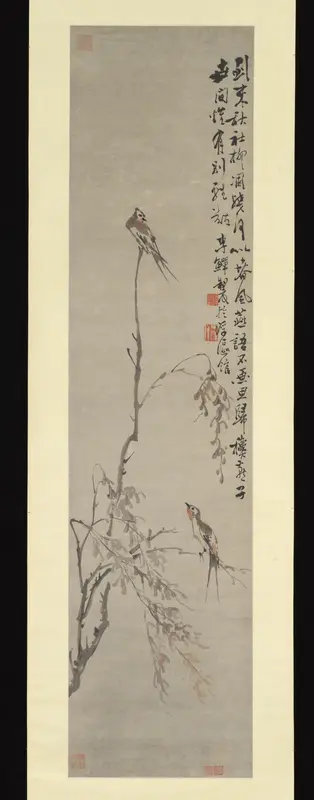 Swallows