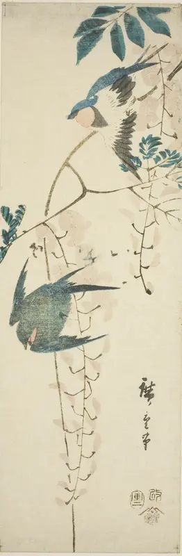 Swallows and wisteria