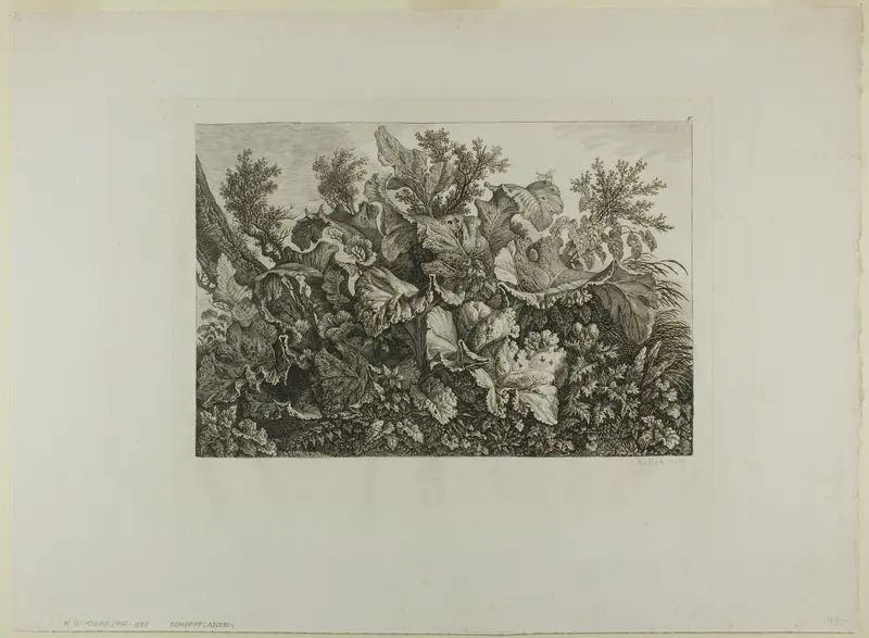 Swamp Plants Wall Art by Carl Wilhelm Kolbe, the elder - High-Resolution Digital Print