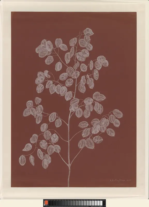 Tak Judaspenning Wall Art by Antoinette van Hoytema - High-Resolution Digital Print