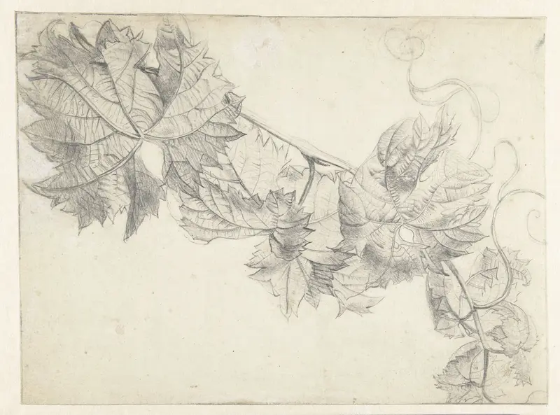 Tak met wingerd Wall Art by Paul Theodor van Brussel - High-Resolution Digital Print