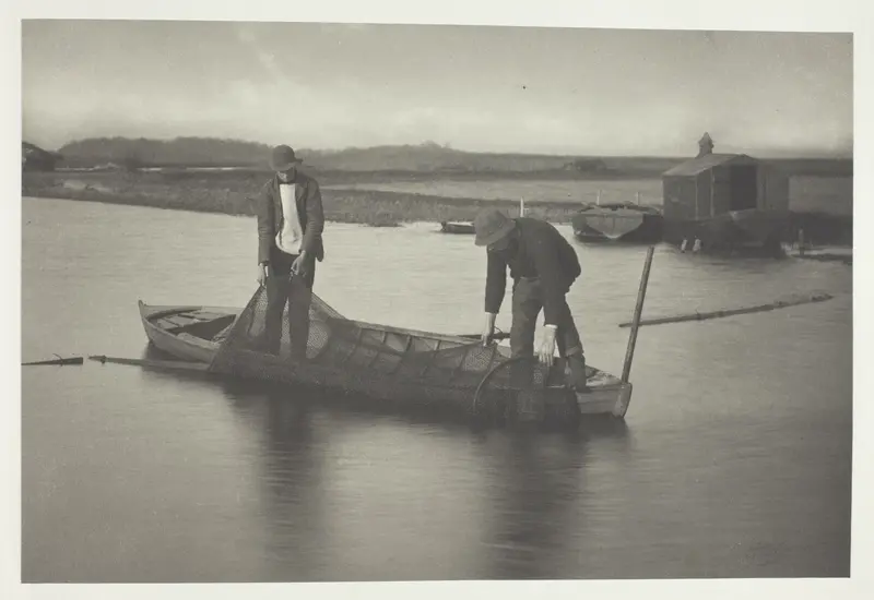 Taking up the Eel-Net