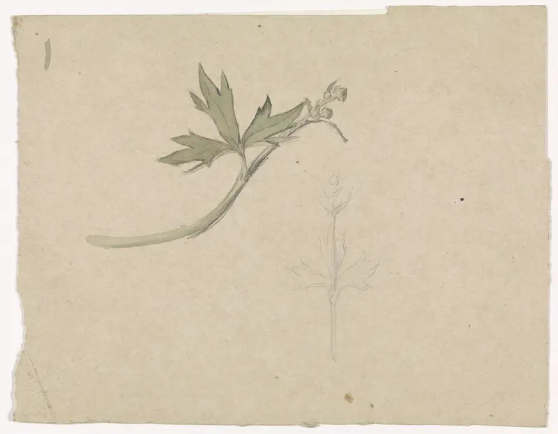 Takje van een boterbloem Wall Art by Antoon Derkinderen - High-Resolution Digital Print