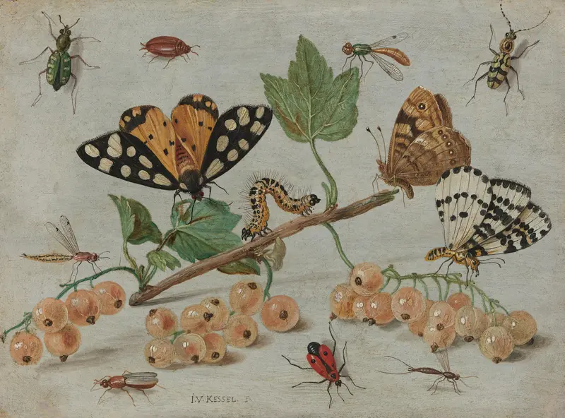 Takje witte aalbessen met insecten Wall Art by Jan van Kessel (I) - High-Resolution Digital Print