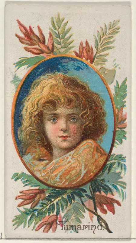 Tamarind, from the Fruits series (N12) for Allen & Ginter Cigarettes Brands Wall Art by Allen & Ginter - High-Resolution Digital Print