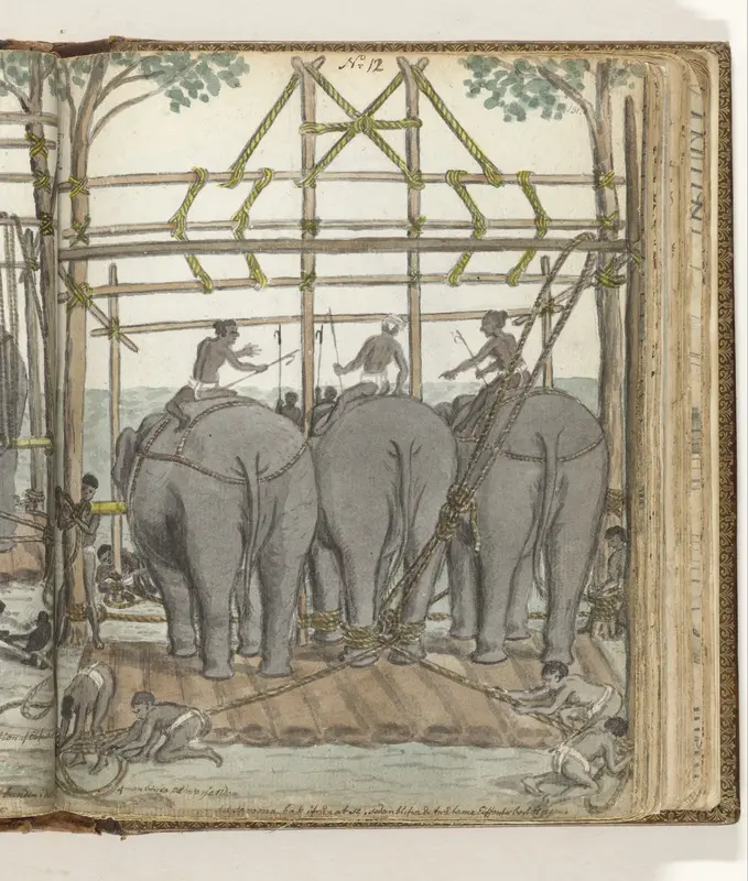 Taming a Wild Elephant in the Temporary Stable, rear view Wall Art by Jan Brandes - High-Resolution Digital Print