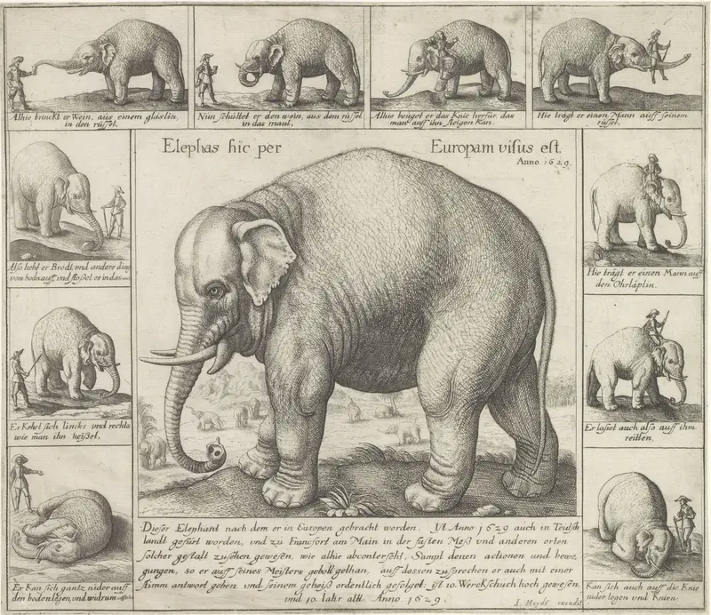 Tamme olifant Wall Art by Unknown - High-Resolution Digital Print