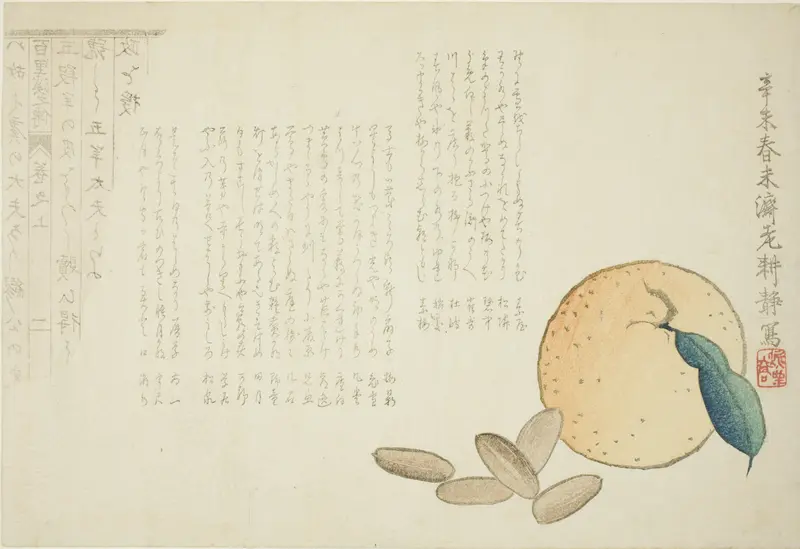 Tangerine and Chinese Legend