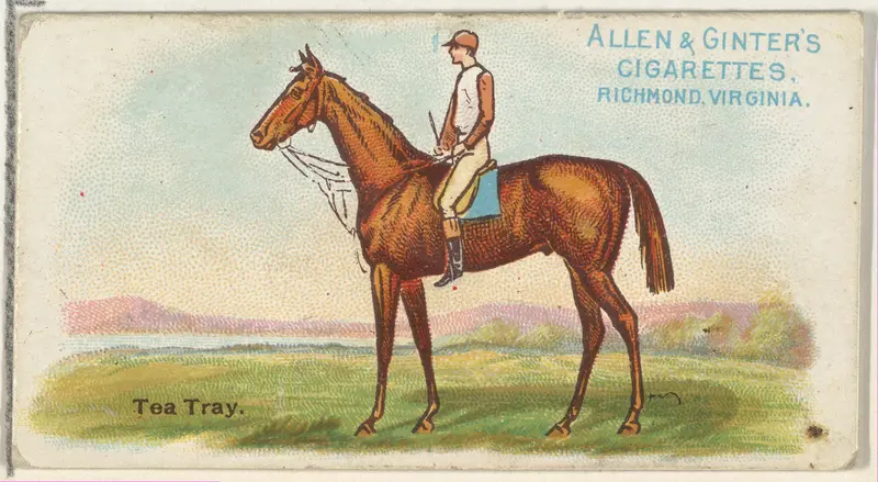 Tea Tray, from The World's Racers series (N32) for Allen & Ginter Cigarettes Wall Art by Allen & Ginter - High-Resolution Digital Print