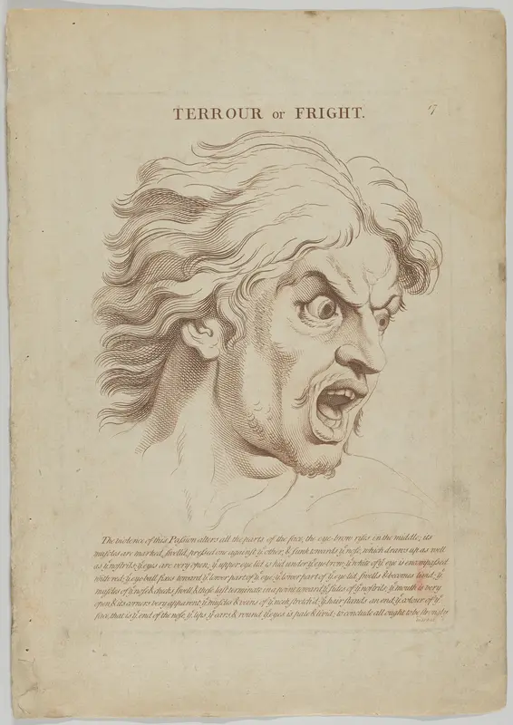Terrour or Fright, plate 18 from "Heads Representing the Various Passions of the Soul; as they are Expressed in the Human Countenance: Drawn by that Great Master Monsieur Le Brun" Wall Art by Anonymous, British, 18th century - High-Resolution Digital Print