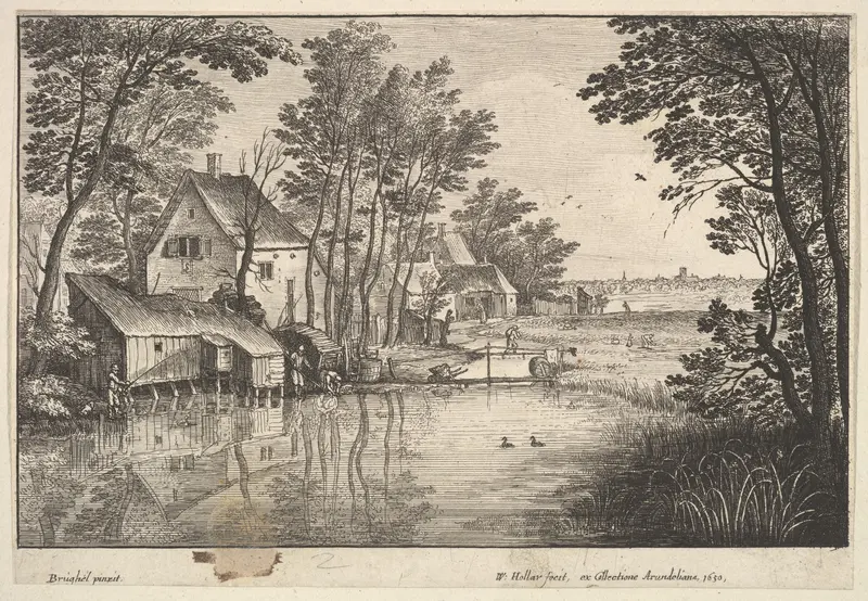 The Angler