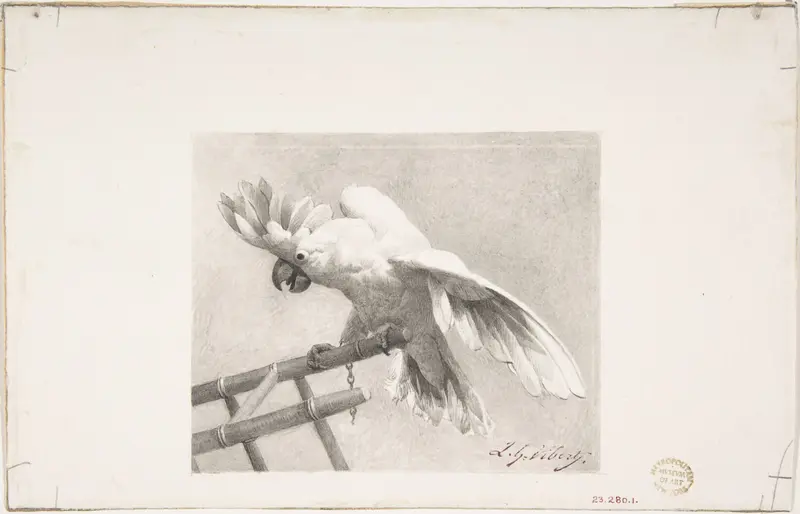 The Angry Parrot Wall Art by Jean-Georges Vibert - High-Resolution Digital Print