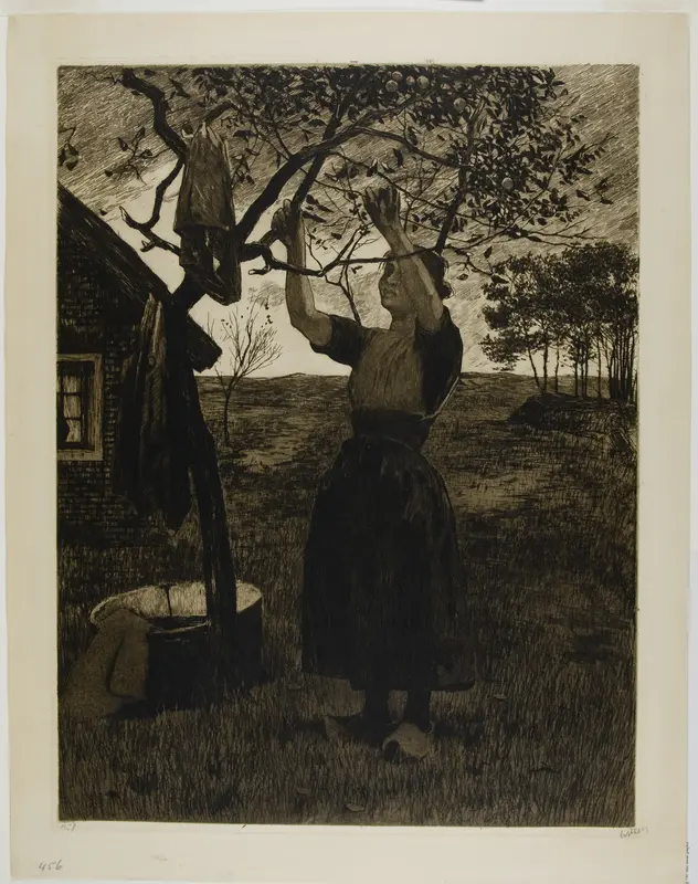 The Apple Tree