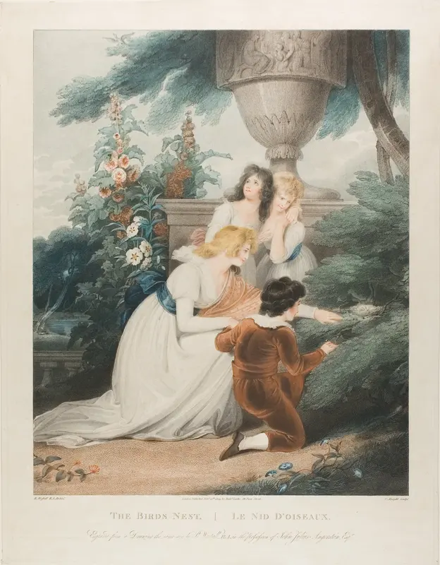 The Bird's Nest Wall Art by Charles Knight - High-Resolution Digital Print