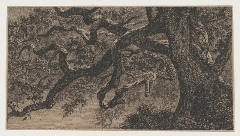 The Branches of an Oak Tree Wall Art by Eugène Stanislas Alexandre Bléry - High-Resolution Digital Print