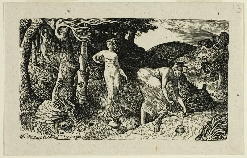 The Brook