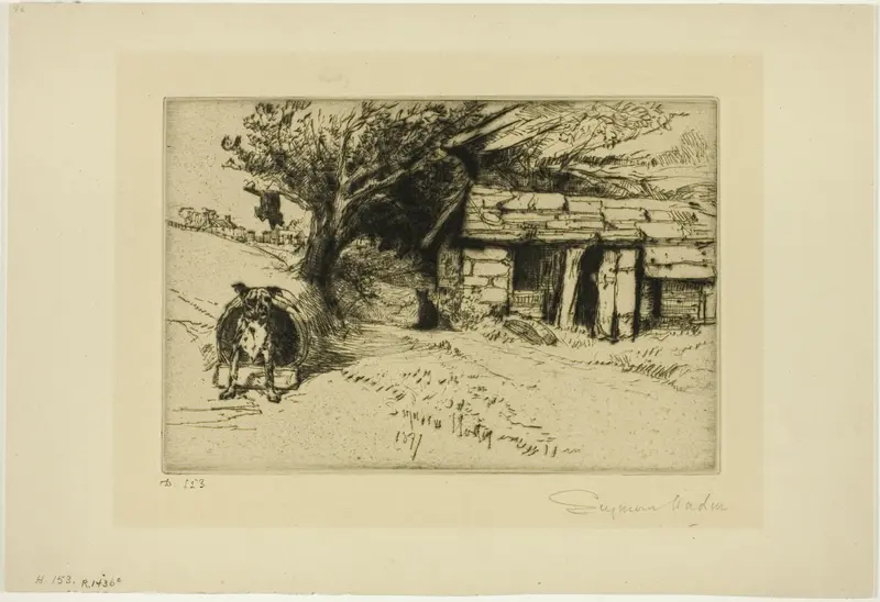 The Cabin