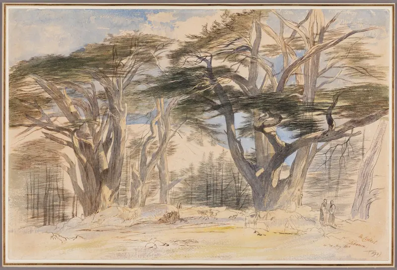 The Cedars of Lebanon Wall Art by Edward Lear - High-Resolution Digital Print