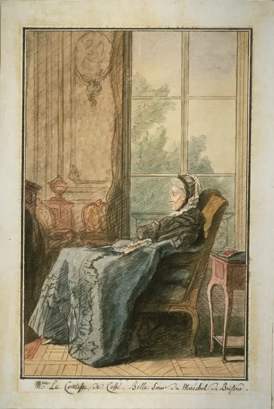 The Comtesse de Cossé in a Salon