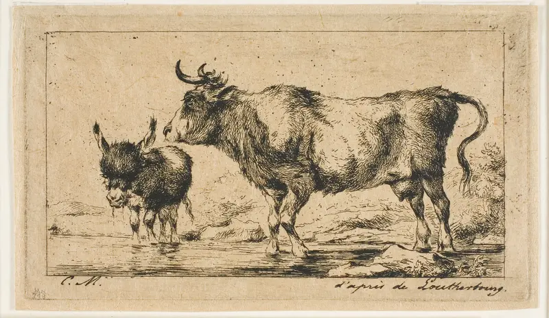The Cow and Ass