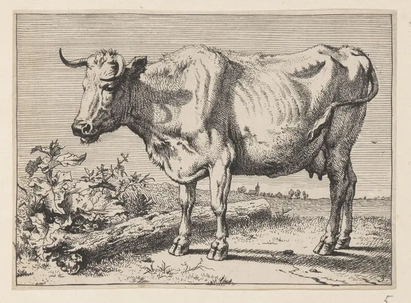 The Cow with a Crumpled Horn, from Various Oxen and Cows Wall Art by Paulus Potter - High-Resolution Digital Print