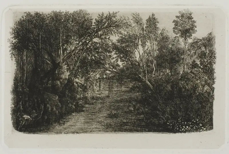 The Creek