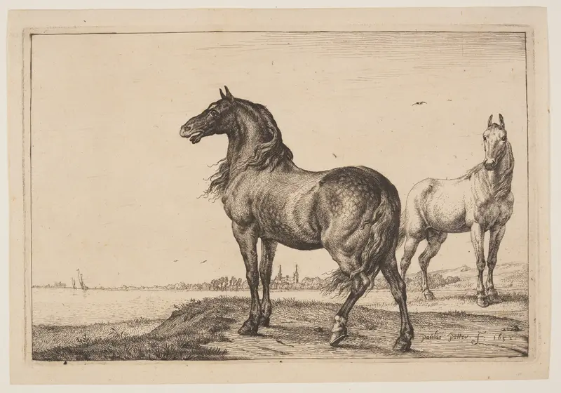 The Cropped Horse, from Series of Horses