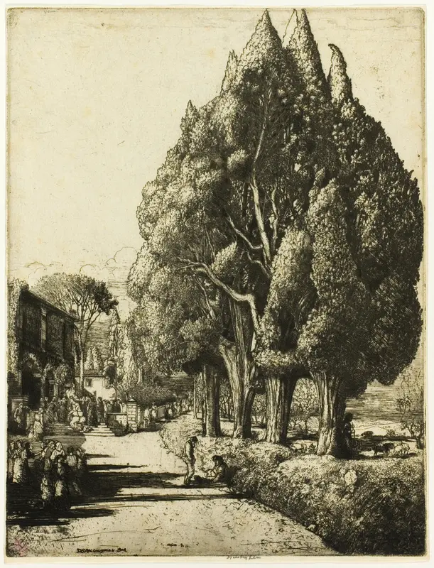 The Cypress Grove