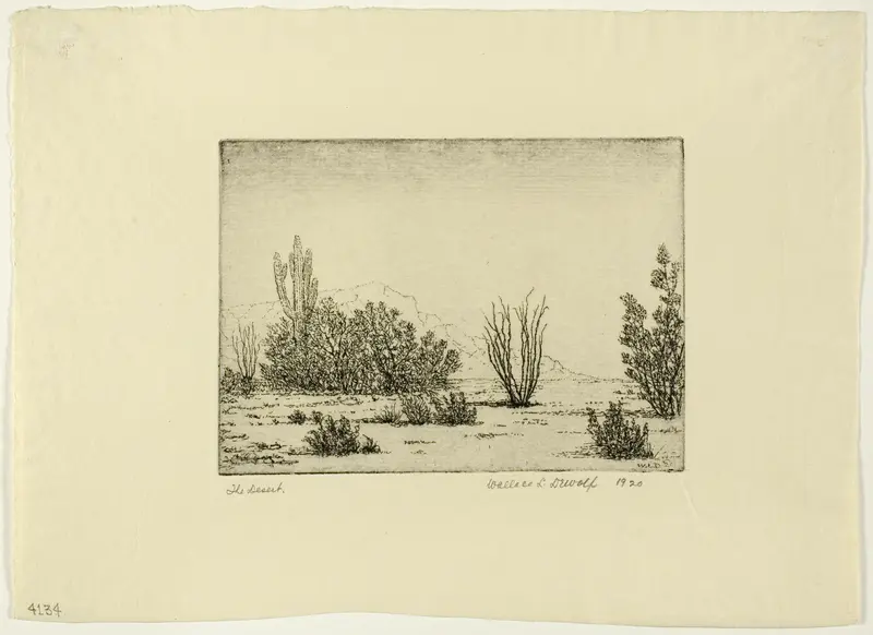 The Desert