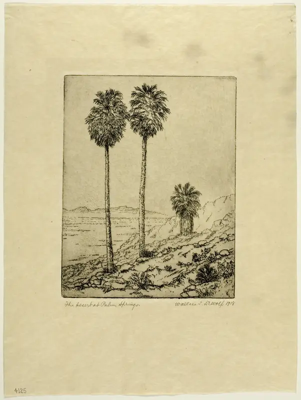 The Desert at Palm Springs