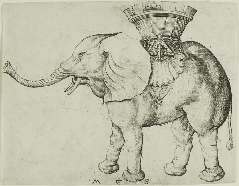 The Elephant Wall Art by Martin Schongauer - High-Resolution Digital Print