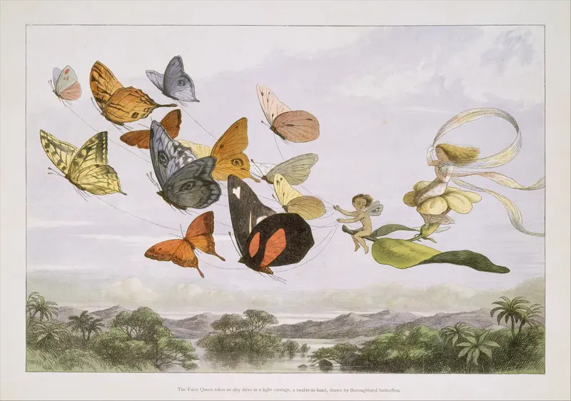 The Fairy Queen Takes an Airy Drive in a Light Carriage, a Twelve-in-hand, drawn by Thoroughbred Butterflies Wall Art by Richard Doyle - High-Resolution Digital Print